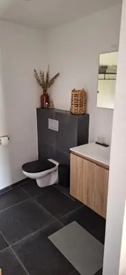 a bathroom with a toilet and a sink at Maison Beau in Zonhoven