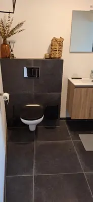 a bathroom with a toilet and a sink at Maison Beau in Zonhoven