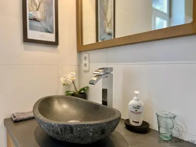 a bathroom with a bowl sink on a counter at La maison de Maître - Grand Jardin, Face à la Meuse in Hermalle-sous-Argenteau