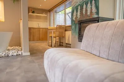 a living room with a couch and a fireplace at Wellnesshuisje Pocono cabin in Lanaken