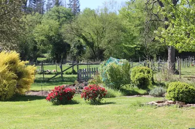 a garden with flowers and a bench in the grass at B&B Ferme du Petit Breuil in Verviers