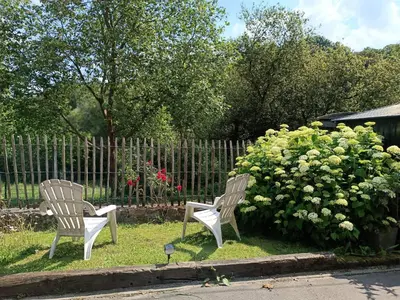 two chairs sitting in the grass next to a bush at B&B Ferme du Petit Breuil in Verviers