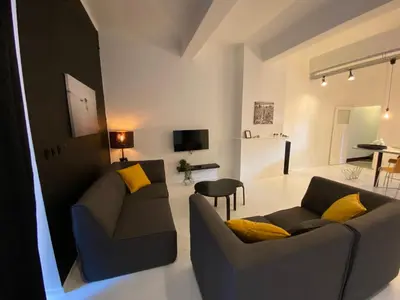 a living room with two couches and a television at Loft St Remacle in Liège