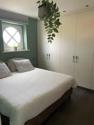 a bedroom with a bed and a potted plant at Aurelia Glamping en B&B in Lommel