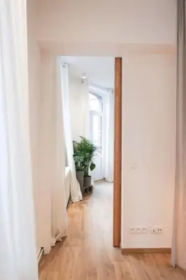 an empty room with a hallway with a potted plant at 1 bedroom apartment in Liège center - 1st floor in Liège