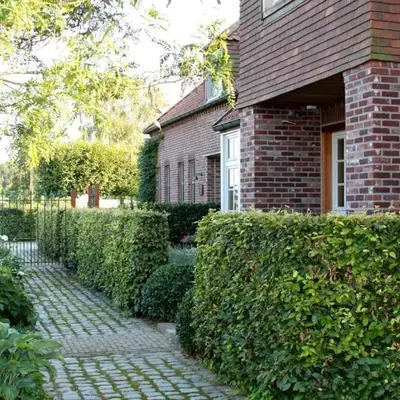 B&B Het Welthof