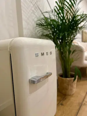 a white refrigerator in a room with a plant at Appartement cosy à Liège in Liège