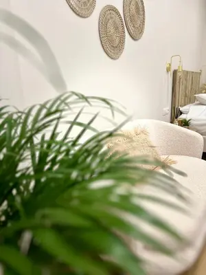 a living room with a couch and a potted plant at Appartement cosy à Liège in Liège