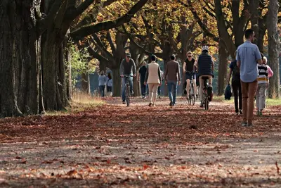 a group of people walking and riding bikes in a park at Chalet Bosrust met serre & privéparking Natuur nabij Maastricht in Lanaken