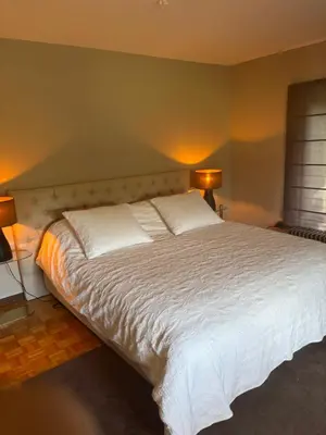 a bedroom with a large white bed with two lamps at Sophia Rooms 14 in Maasmechelen
