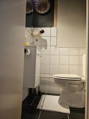 a small bathroom with a toilet and a rug at Phocas in Liège