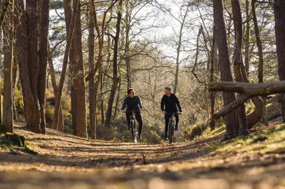 two people riding bikes down a forest trail at Lodge met Jacuzzi - 4 personen - Woodz Lodges in Heusden - Zolder