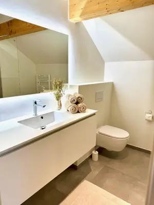 a bathroom with a sink and a toilet at Hartje Borgloon in Borgloon