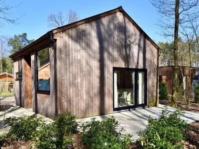 a small wooden house with a large window at Zutendaal Forest Retreat in Zutendaal