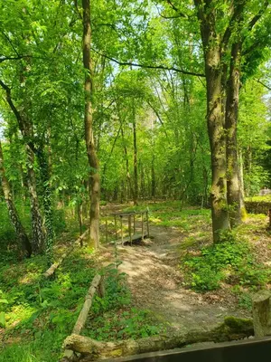 a picnic table in the middle of a forest at Pipowagen Harambé in Lanaken