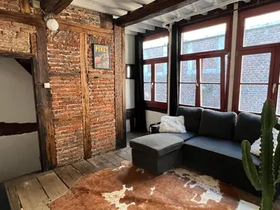 a living room with a couch and a cactus at La petite maison de l'impasse in Liège
