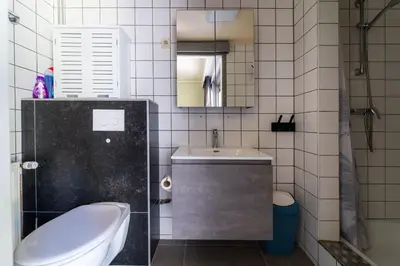a bathroom with a sink and a toilet and a mirror at Acacia 8 Hengelhoef in Houthalen-Helchteren