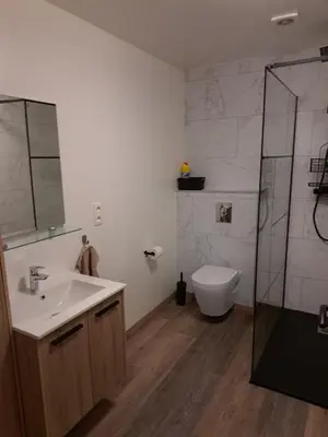 a bathroom with a sink and a toilet and a shower at B&B Hoeve Terwinghe in Gingelom