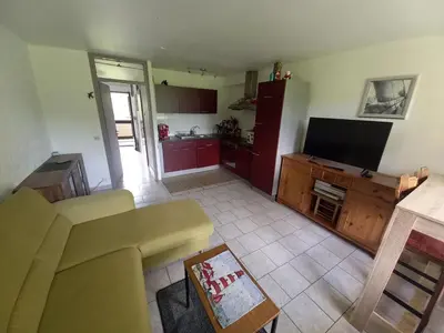 a living room with a couch and a television at Ap76 Nature Ardennes Economy class apartment in La Calamine