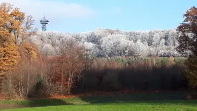 a view of a forest with a tower in the background at Au Natur'elle in Gemmenich