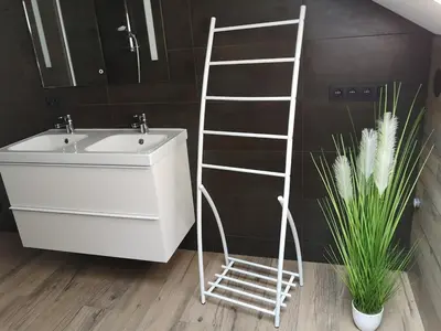 a bathroom with a ladder next to a sink at Au Natur'elle in Gemmenich