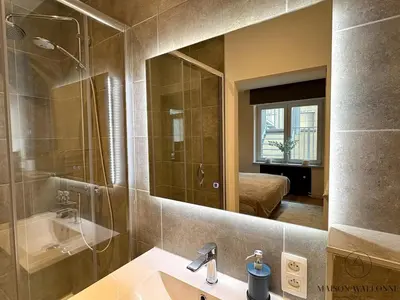 a bathroom with a sink and a mirror at Le coeur Liégeois - Hypercentre quartier piéton in Liège