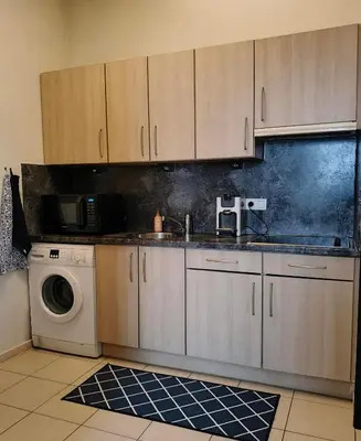 a kitchen with a sink and a washing machine at De Smokkelhoeve in Riemst