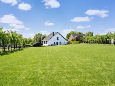 a large grassy field in front of a white house at Villa Borgloon with Blossom Views and Jacuzzi in Borgloon