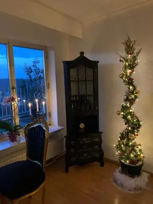 a living room with a christmas tree and a window at Central peak of Embourg Apartment in Chaudfontaine