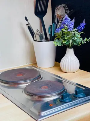a stove top with two plates and a vase of flowers at Appartement rustique à Liège in Liège
