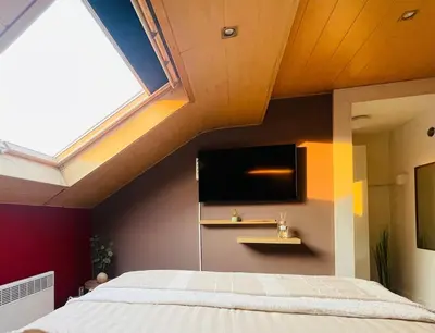 a bedroom with a large bed and a skylight at Appartement rustique à Liège in Liège