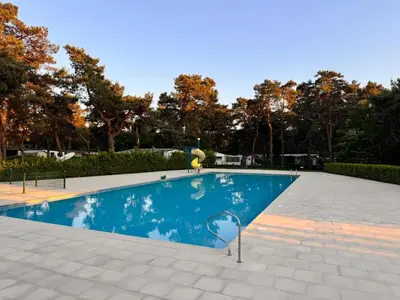 a swimming pool in a park with trees in the background at Boshuisje June - middenin de natuur op een uurtje rijden van Antwerpen en Maastricht in Balen