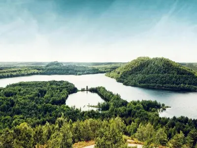 an island in the middle of a lake at Forest Chalet in Lanklaar in Lanklaar