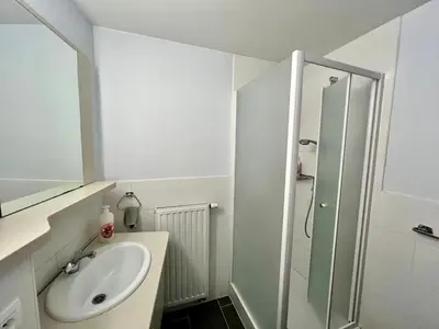 a white bathroom with a sink and a shower at Business trip - Sauna, gym, rooftop in Liège