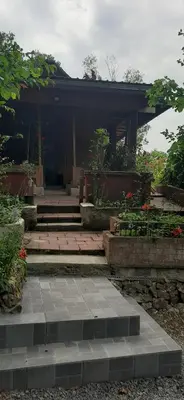 a building with stairs and flowers in front of it at Gîte 