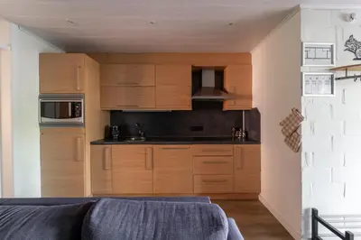 a kitchen with wooden cabinets and a couch in a room at vakantie-hengelhoef in Houthalen-Helchteren