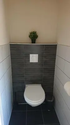 a bathroom with a toilet with a plant on the wall at Chalet - Camping Natuurlijk Limburg in Voeren
