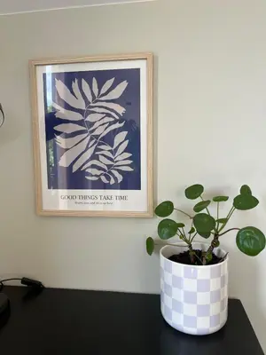 a potted plant sitting on a table in front of a picture at Studio SC - Cozy appartement in Genk near Thor Park - 4 people in Genk
