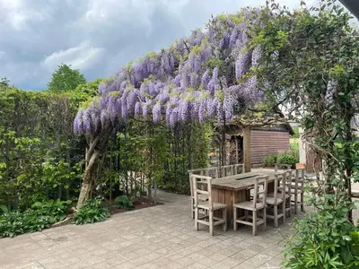 a pergola with a table and chairs under it at Het Wolvennest in Maasmechelen