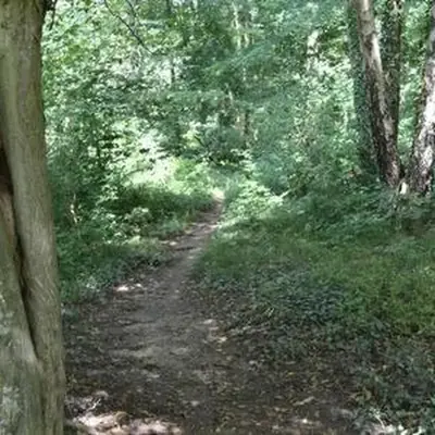 Pause Nature N