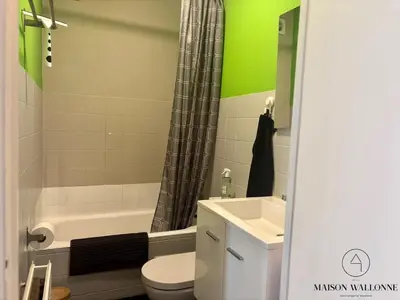 a bathroom with a toilet and a sink and a shower at Le studio de la Cathédrale - Hypercentre avec balcon in Liège