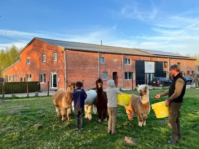 a group of people standing in a field with animals at Farmhouse with garden and wellness in Heers