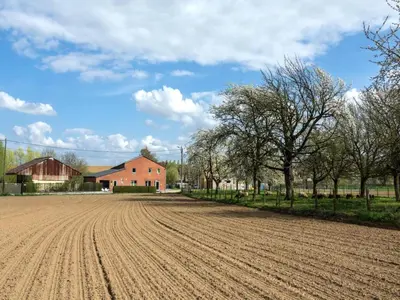 a plowed field in front of a red barn at Apartment with a view of alpacas in Heers