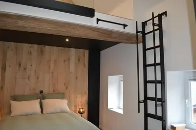a bedroom with a loft bed with a ladder at Maison au coeur du village in Aubel