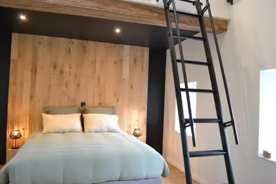 a loft bed with a ladder in a bedroom at Maison au coeur du village in Aubel