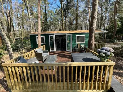 a green tiny house in the woods with a deck at The Butterfly - Forest - Dog - Maastricht in Lanaken
