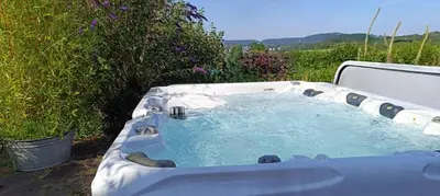 a jacuzzi tub in a yard with flowers at Tiny House Dreiländereck in La Calamine