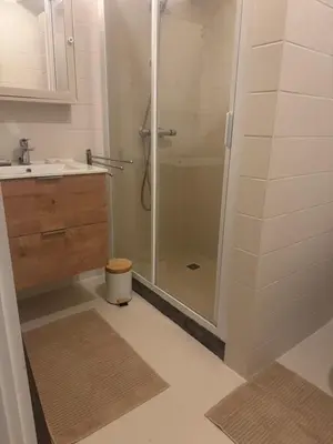 a bathroom with a shower and a sink at Boshuisje Rekem Charly in Lanaken