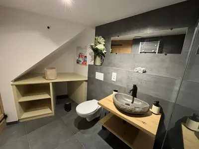 a bathroom with a sink and a toilet at Le Marzelheide 2 in Lontzen