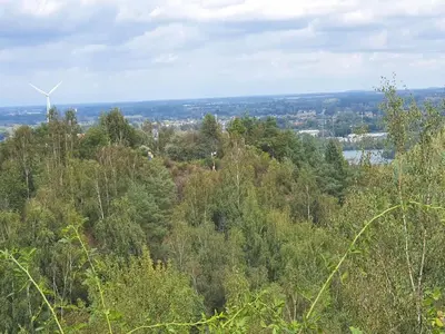a windmill on top of a hill with trees at Lanklaar Chalet with Garden in Lanklaar
